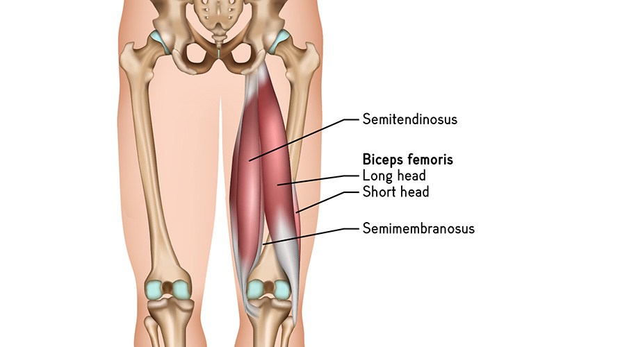 Illustration af bagside lr.